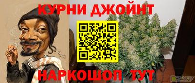 индика Моздок