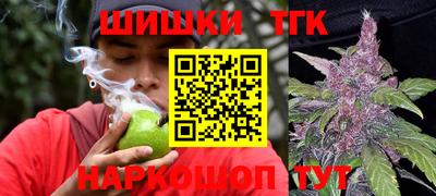индика Моздок