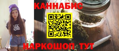 индика Моздок