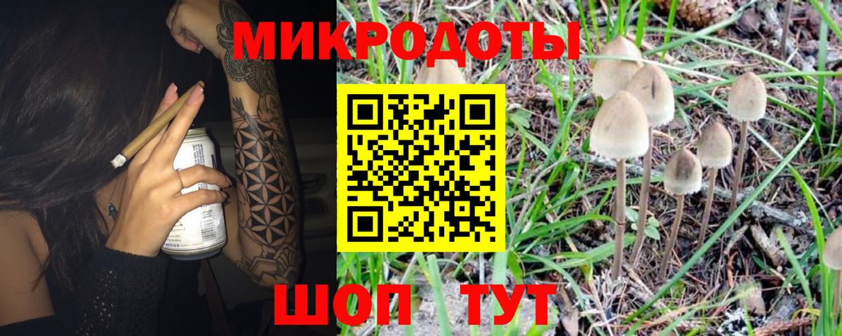 Псилоцибиновые грибы ЛСД Югорск