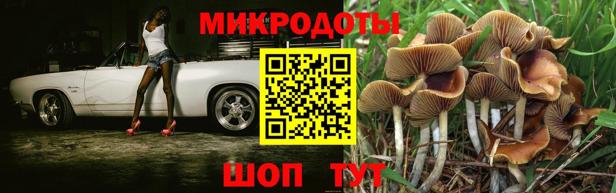 Галлюциногенные грибы Psilocybe  Галлюциногенные грибы Magic Shrooms  купить наркотики цена  Вход с VPN  Югорск 